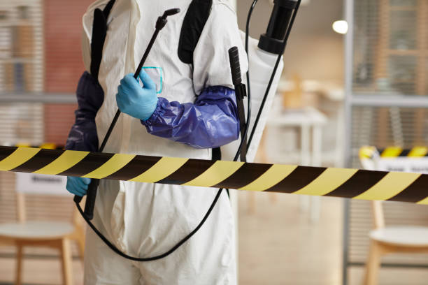 Professional Sewage Cleanup technician working in Newton, MA